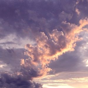 Meet your Posher, Tatum